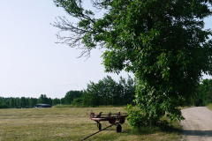P1190812