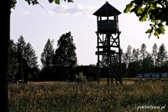 Teremiski-10
