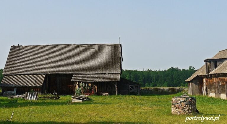 Budy – wieś leśnych osadników