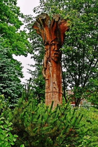 herbarium gruszki