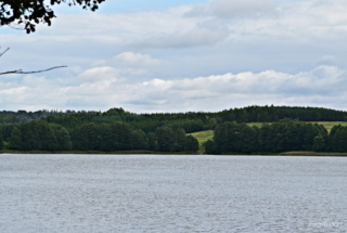 żabinka