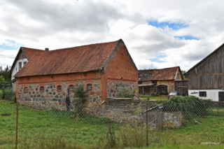 żabinka