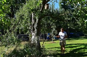 Sad w Pijawne Polskie 2023r.