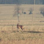 Białka Tatrzańska – ośrodek turystyczny w sercu Tatr