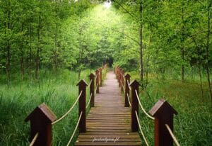 Kładki Wyżary 2024r.2