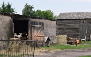 Krasnołąka-2023r.4 Krasnołąka 2023r.4