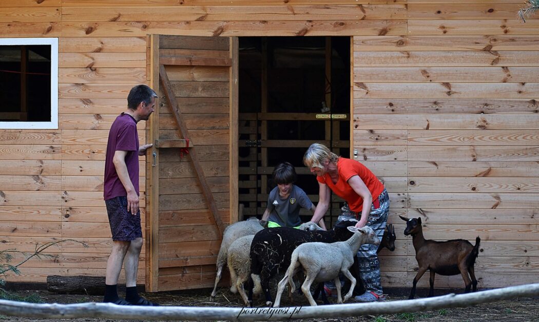Od przyczepy kempingowej do serowarskiego raju – historia Zagrody OFI