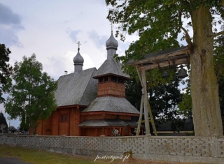 Ortel królewski 2024r.2