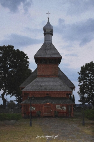 Ortel królewski 2024r.3