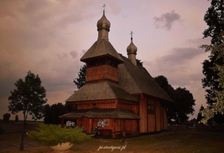 Ortel królewski 2024r.5