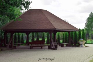 Turna mała 2025r.10