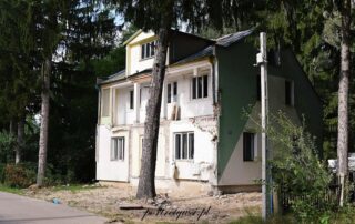 Turna mała 2025r.8