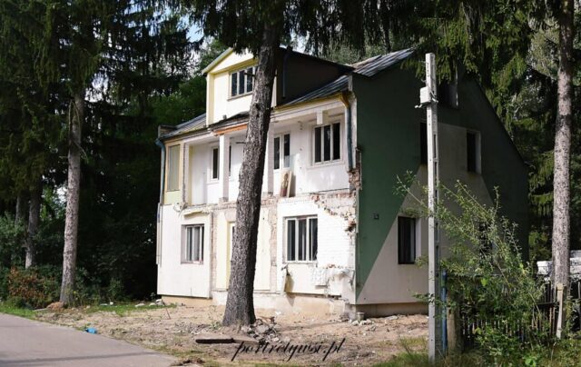 Turna mała 2025r.8