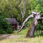 Nad Bugiem, w sercu Podlasia – uroki Wólki Nadbużnej