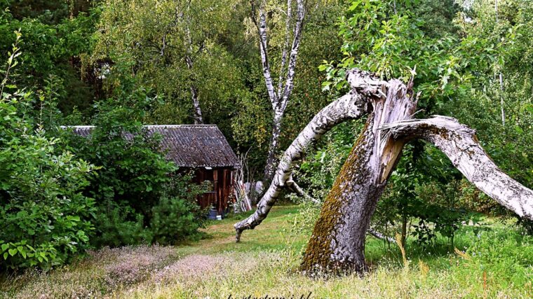Turnamała