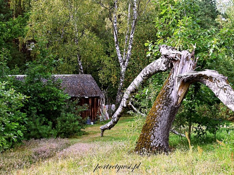 Turnamała