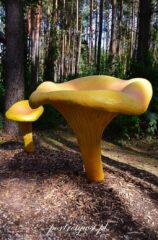 Wólka Nabużna-2025r.10 Wólka nabużna 2025r.10