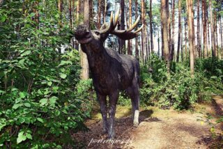 Wólka Nabużna-2025r.11 Wólka nabużna 2025r.11