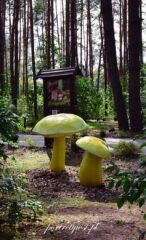 Wólka Nabużna-2025r.12 Wólka nabużna 2025r.12