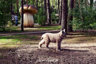 Wólka Nabużna-2025r.13 Wólka nabużna 2025r.13