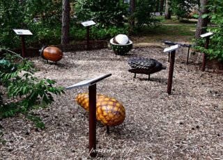 Wólka Nabużna-2025r.14 Wólka nabużna 2025r.14