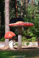 Wólka Nabużna-2025r.15 Wólka nabużna 2025r.15