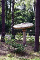 Wólka Nabużna-2025r.16 Wólka nabużna 2025r.16