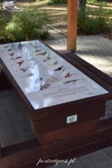 Wólka Nabużna-2025r.19 Wólka nabużna 2025r.19