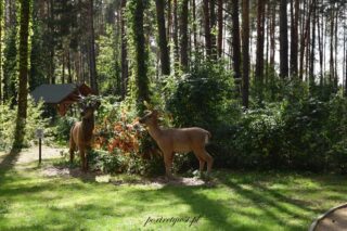 Wólka Nabużna-2025r.20 Wólka nabużna 2025r.20