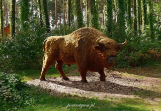 Wólka Nabużna-2025r.21 Wólka nabużna 2025r.21