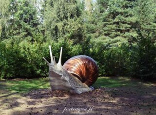 Wólka Nabużna-2025r.7 Wólka nabużna 2025r.7