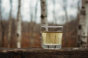 Sok z brzozy – wiosenny izotonik na wiejskich stołach.